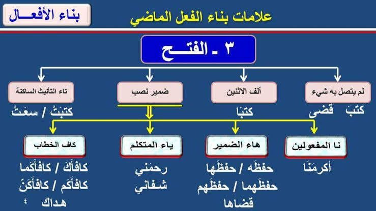 متى يبنى الفعل الماضي على الفتح؟